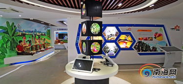 昌江互聯網農業小鎮 借電商快車，力促農產品銷售